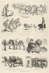 Das Jubiläum der Royal Agricultural Society